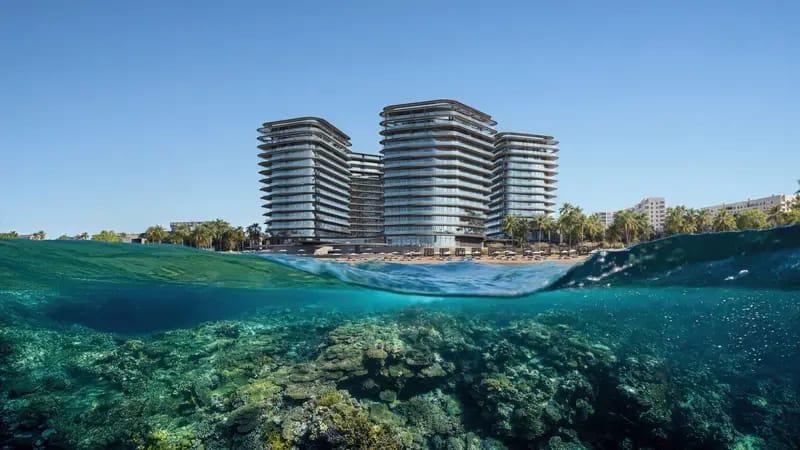 WhatsApp-Image-2025-05-04-at-11.38.19-1